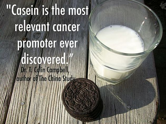 dr-t-colin-campbell-casein-is-the-most-relevant-cancer-promoter-ever-discovered