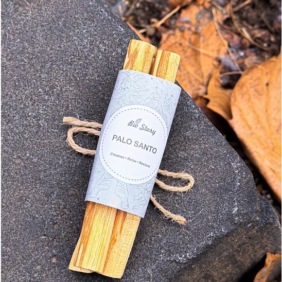 600216461_1639987427162499_549935473658481735_n